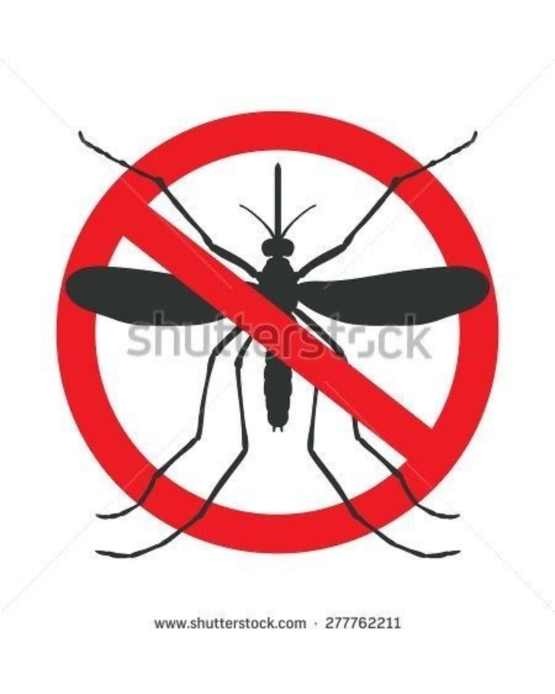 PRODOTTI PER INSETTI